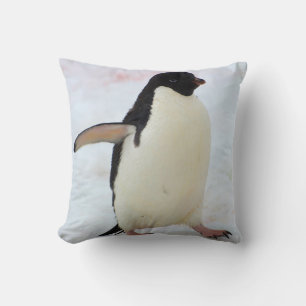 Antarctica. Petermann Island. Adelie penguin Cushion