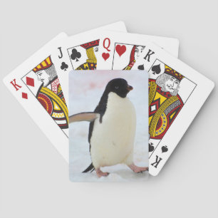 Antarctica. Petermann Island. Adelie penguin Playing Cards