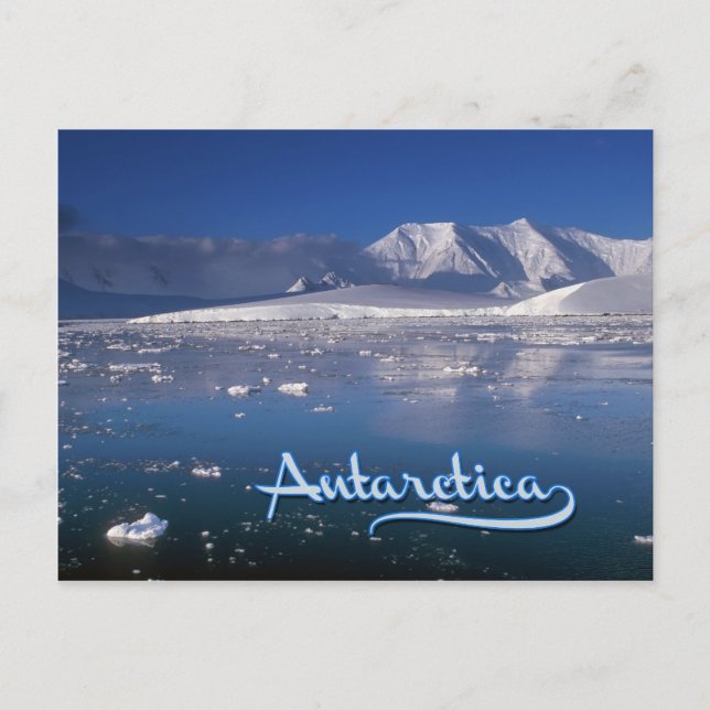Antarctica Postcard (Front)
