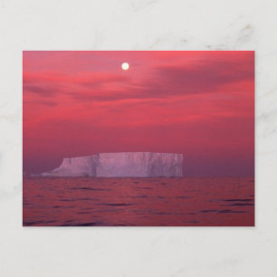 Antarctica Postcard