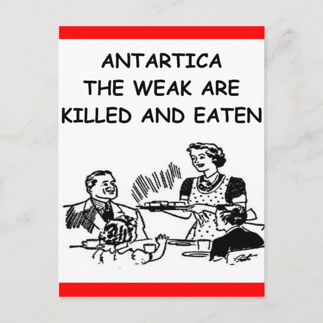antarctica postcard (Front)