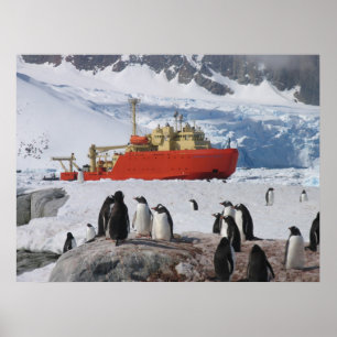Antarctica Poster