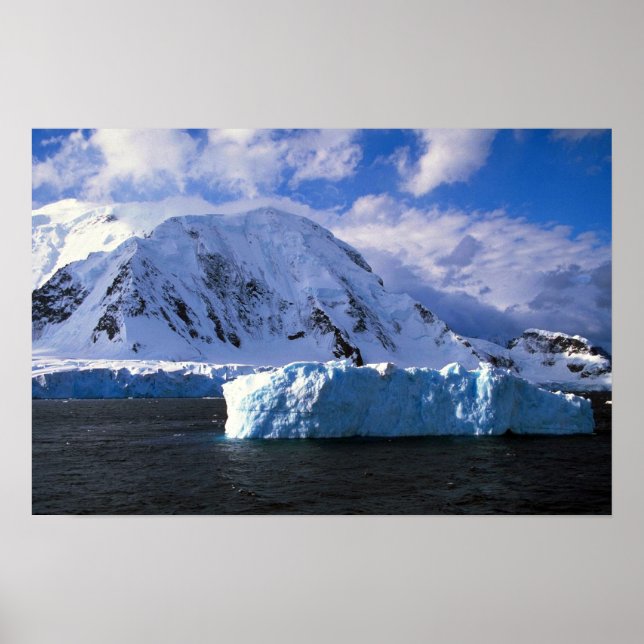 Antarctica Poster (Front)