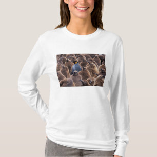 Antarctica, South Georgia Island, King penguins T-Shirt