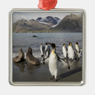 Antarctica, South Georgia Island (UK), Antarctic 2 Metal Ornament