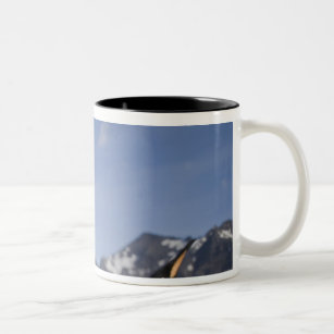 Antarctica, South Georgia Island UK), King 2 Two-Tone Coffee Mug