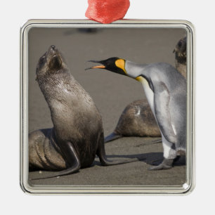 Antarctica, South Georgia Island (UK), King 3 Metal Tree Decoration