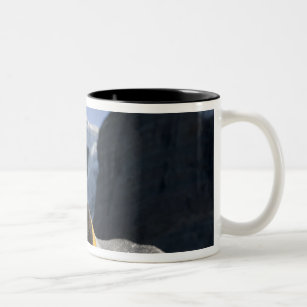 Antarctica, South Georgia Island UK), King 4 Two-Tone Coffee Mug