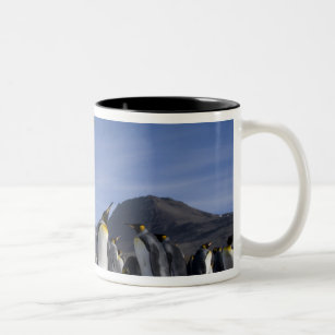 Antarctica, South Georgia Island (UK), King 5 Two-Tone Coffee Mug