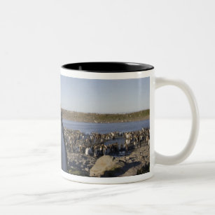 Antarctica, South Georgia Island (UK), King 6 Two-Tone Coffee Mug