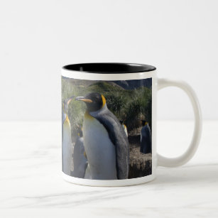 Antarctica, South Georgia Island UK), King 6 Two-Tone Coffee Mug