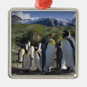 Antarctica, South Georgia Island UK), King Metal Tree Decoration
