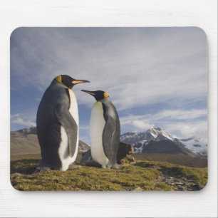 Antarctica, South Georgia Island UK), King Mouse Pad