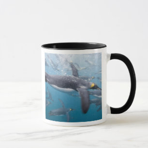 Antarctica, South Georgia Island UK Mug