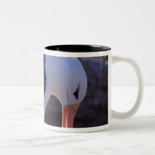Antarctica, Sub-Antarctic Islands, South 4 Two-Tone Coffee Mug