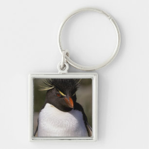 Antarctica, Sub-Antarctic Islands, South 5 Key Ring