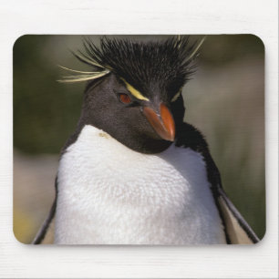 Antarctica, Sub-Antarctic Islands, South 5 Mouse Pad