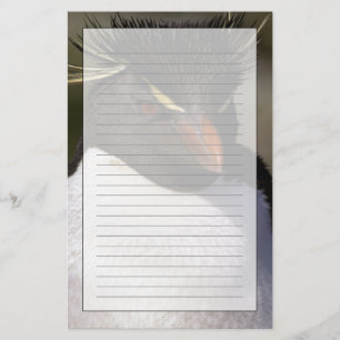 Antarctica, Sub-Antarctic Islands, South 5 Stationery