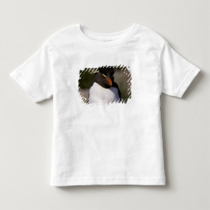 Antarctica, Sub-Antarctic Islands, South 5 Toddler T-Shirt