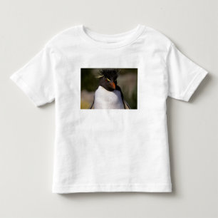 Antarctica, Sub-Antarctic Islands, South 5 Toddler T-Shirt