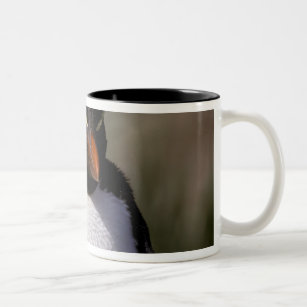 Antarctica, Sub-Antarctic Islands, South 5 Two-Tone Coffee Mug
