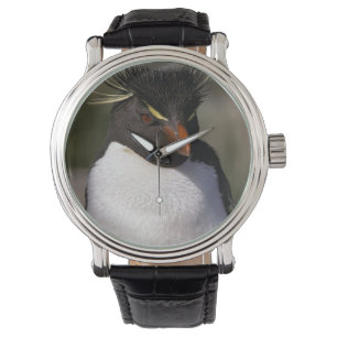 Antarctica, Sub-Antarctic Islands, South 5 Watch