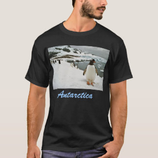 Antarctica T-shirt