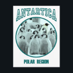 Antartica Postcard<br><div class="desc">cool place out there</div>