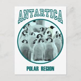 Antartica Postcard