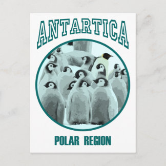 Antartica Postcard