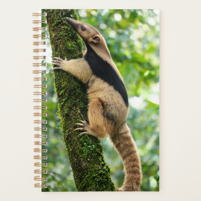 Anteater 2027 Planner (Front)