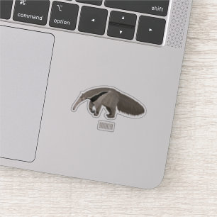 Anteater cartoon illustration