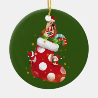 Anteater Christmas Socking Ceramic Ornament