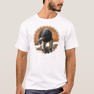 Anteater Men's T-Shirt