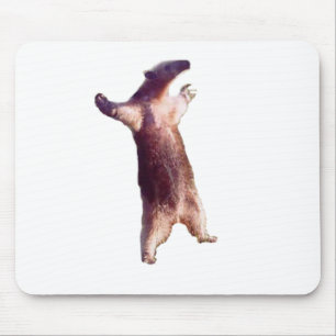 Anteater Mouse Pad