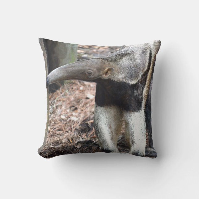 anteater nose raised wild animal image picture cushion (Front)