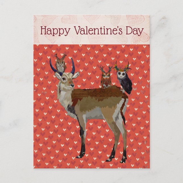 ANTELOPE & ANTLER OWLS VALENTINE'S Postcard (Front)