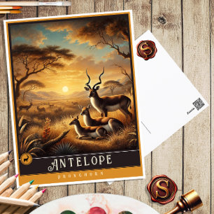 Antelope Cute Family Vintage Animal Postcard