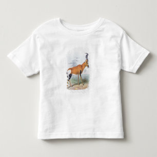 Antelope, from 'The Book of Antelopes', Toddler T-Shirt