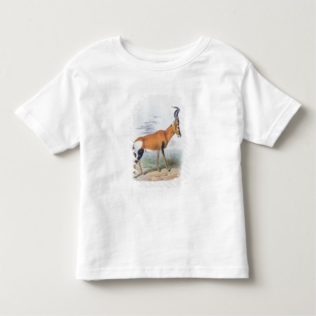 Antelope, from 'The Book of Antelopes', Toddler T-Shirt (Front)