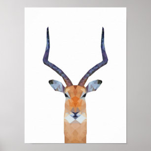Antelope Gasele Poster