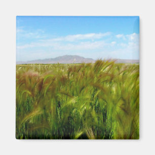 Antelope Island & Field of Green Magnet