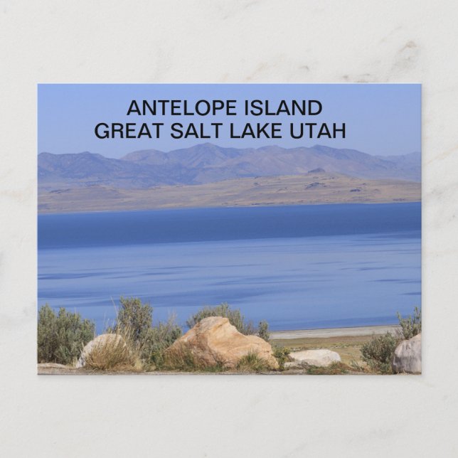  Antelope Island Great Salt Lake in Utah Postcard (Front)