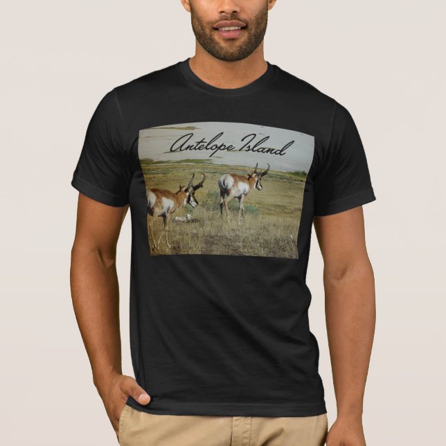 Antelope Island T-Shirt (Front)