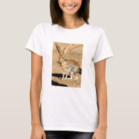 Antelope jackrabbit portrait, Arizona