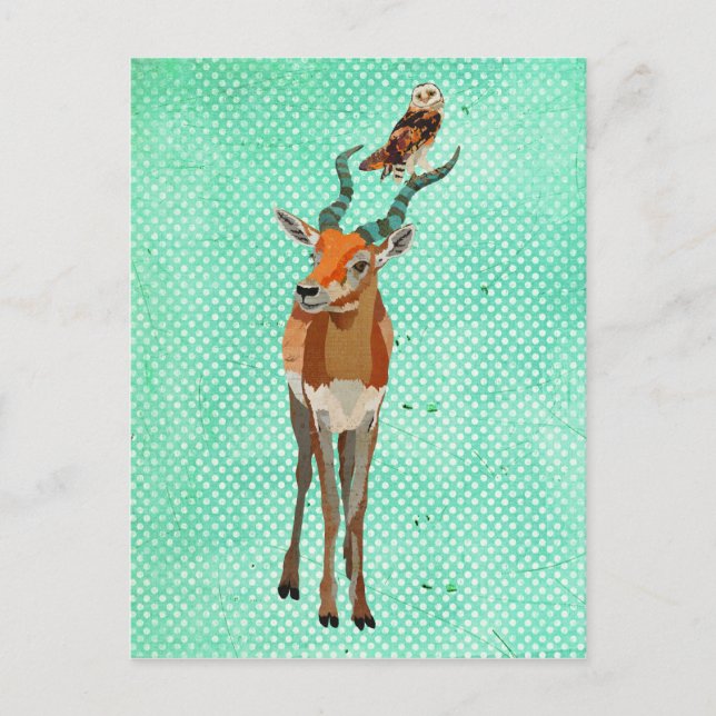 ANTELOPE & OWL Postcard (Front)
