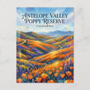 Antelope Valley California Poppy Reserve Postcard