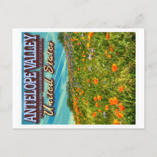 ANTELOPE VALLEY - CALIFORNIA US - SPRING POPPIES POSTCARD