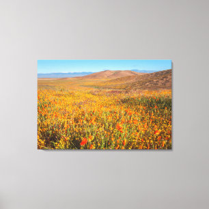 Antelope Valley Canvas Print