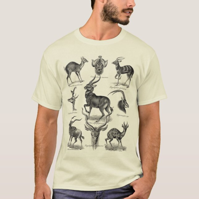 Antelopes T-Shirt (Front)